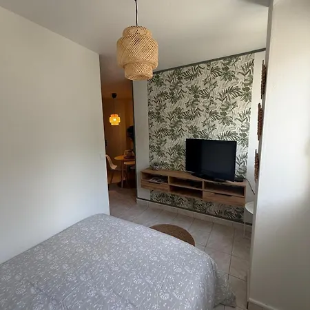 L'univers De Julia Apartmán Toulouse